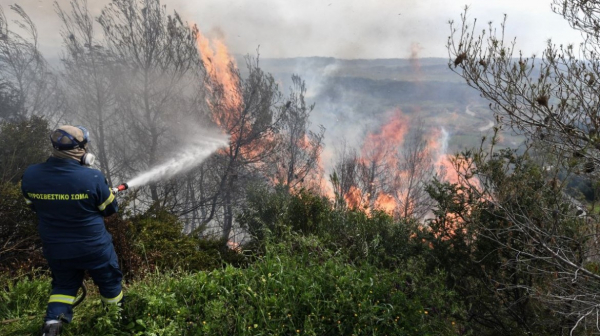 Φωτιά σε δασική έκταση στο Λεόντιο της Νεμέας