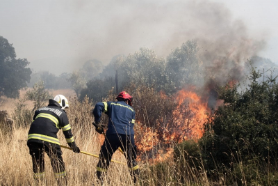 Νέα φωτιά στην Ηλεία - Καίει δασική έκταση στο χωριό Ροδιά