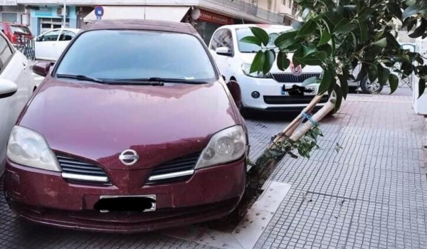 Θεσσαλονίκη: Πάρκαρε το αυτοκίνητό του πάνω σε δέντρο και το ρήμαξε