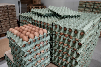 Είδος πολυτελείας τα αυγά - Πληθαίνουν τα περιστατικά αισχροκέρδειας στα σούπερ μάρκετ