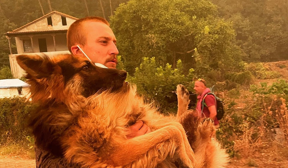 Φωτιά στην Εύβοια: Η συγκλονιστική εικόνα με τον διασώστη και το σκυλί