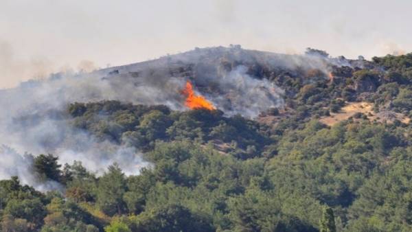 Κεφαλονιά: Σε ύφεση η φωτιά στο Καπανδρίτι - Στη μάχη με τις φλόγες δυνάμεις από την Αθήνα