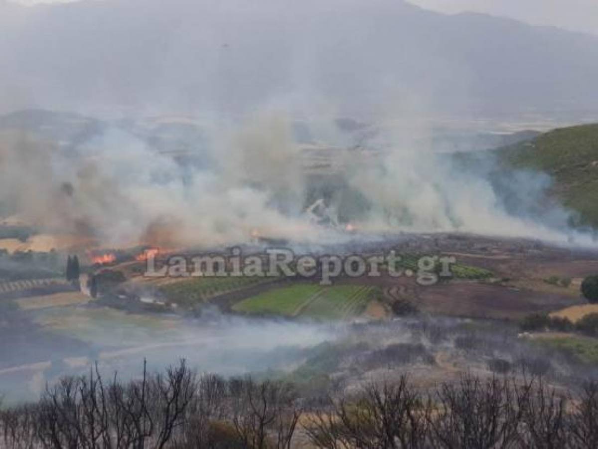 Ανεξέλεγκτες οι μεγάλες πυρκαγιές στη Φθιώτιδα - Εκκενώθηκε χωριό (video)
