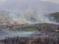 Ανεξέλεγκτες οι μεγάλες πυρκαγιές στη Φθιώτιδα - Εκκενώθηκε χωριό (video)