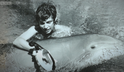 Απίστευτη ιστορία: Δελφίνι «αυτοκτόνησε» όταν χωρίστηκε με τον αγαπημένο του άνθρωπο
