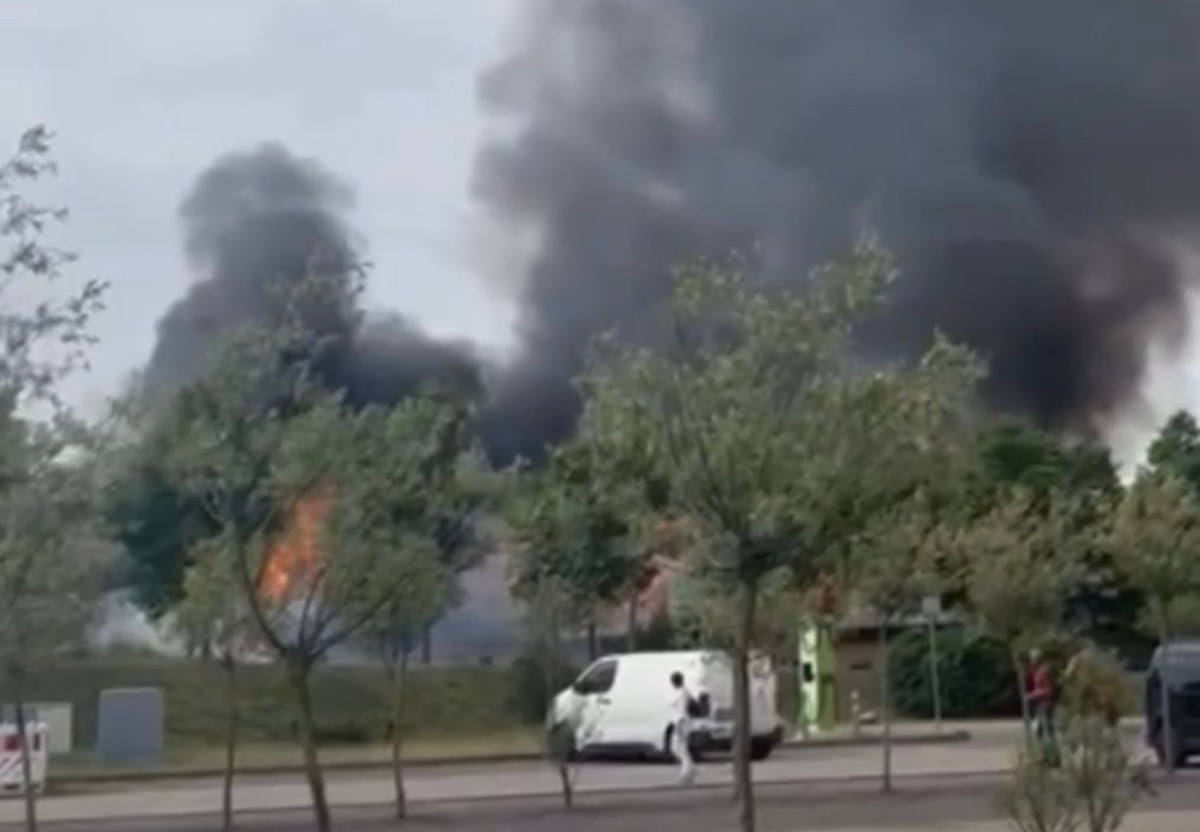 Γερμανία: Δέκα τραυματίες από φωτιά σε αγρόκτημα φράουλας (Bίντεο)
