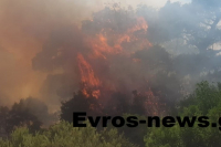 Φωτιά στον Έβρο, στην περιοχή Αρίστεινο - Εκκενώνονται τα παιδικά χωριά SOS