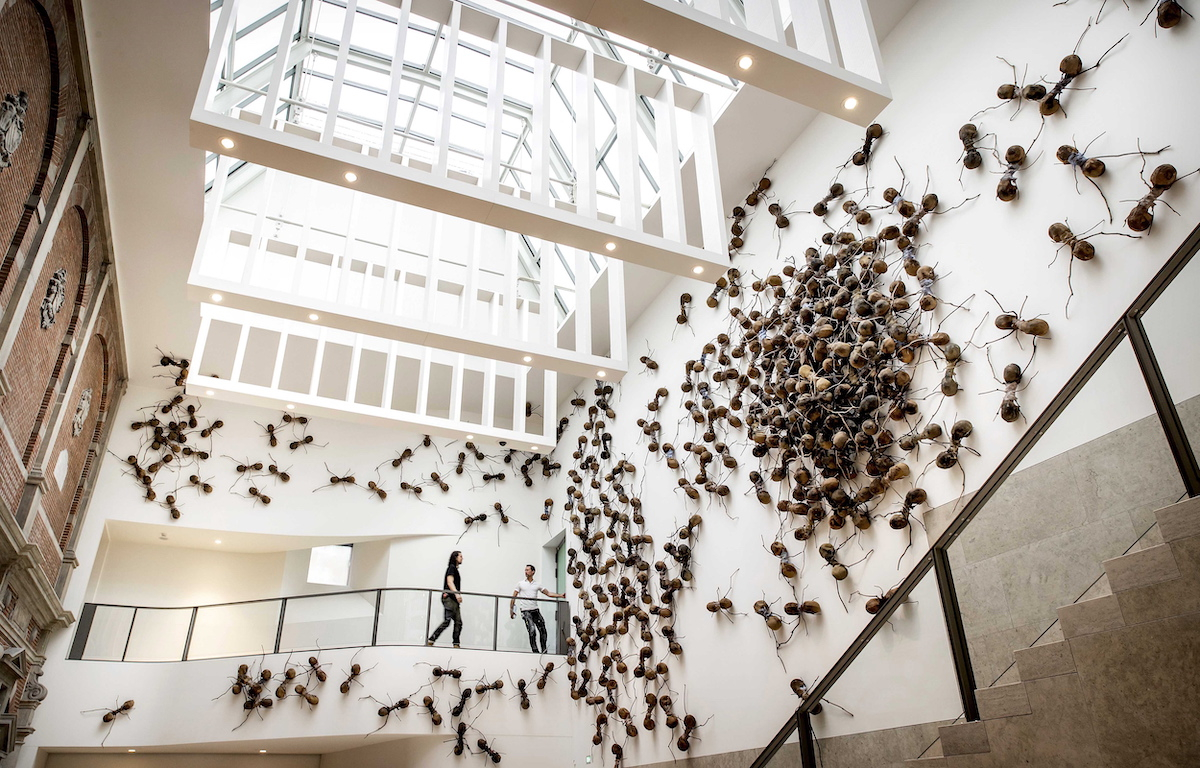 Ολλανδία: Άφησαν αράχνες και έντομα να φωλιάσουν στο Εθνικό Μουσείο – Το λένε «πείραμα στην τέχνη»