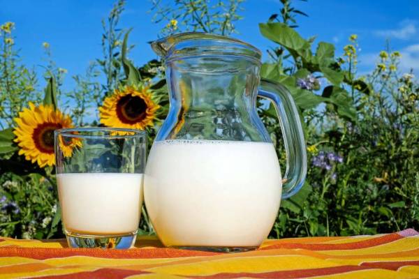 ΕΦΕΤ: Πώς θα εντοπίζετε την προέλευση του γάλακτος