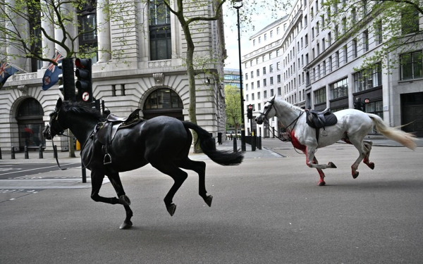 Άλογα καλπάζουν ελεύθερα στο κεντρικό Λονδίνο – Το ένα καλυμμένο στα αίματα (βίντεο)