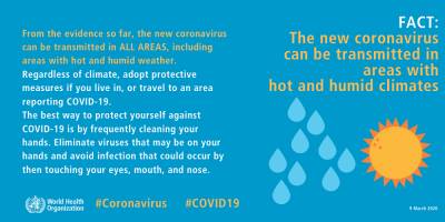 Κορονοϊός: Τα κουνούπια μεταδίδουν τον ιό; - Ο Παγκόσμιος Οργανισμός Υγείας καταρρίπτει 12 μύθους