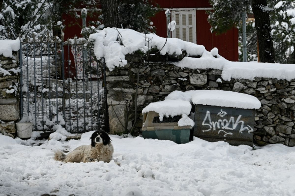 Κακοκαιρία «Φίλιππος»: Έντονη επιδείνωση θα παρουσιάσει σήμερα ο καιρός - Πότε αναμένονται πυκνά χιόνια