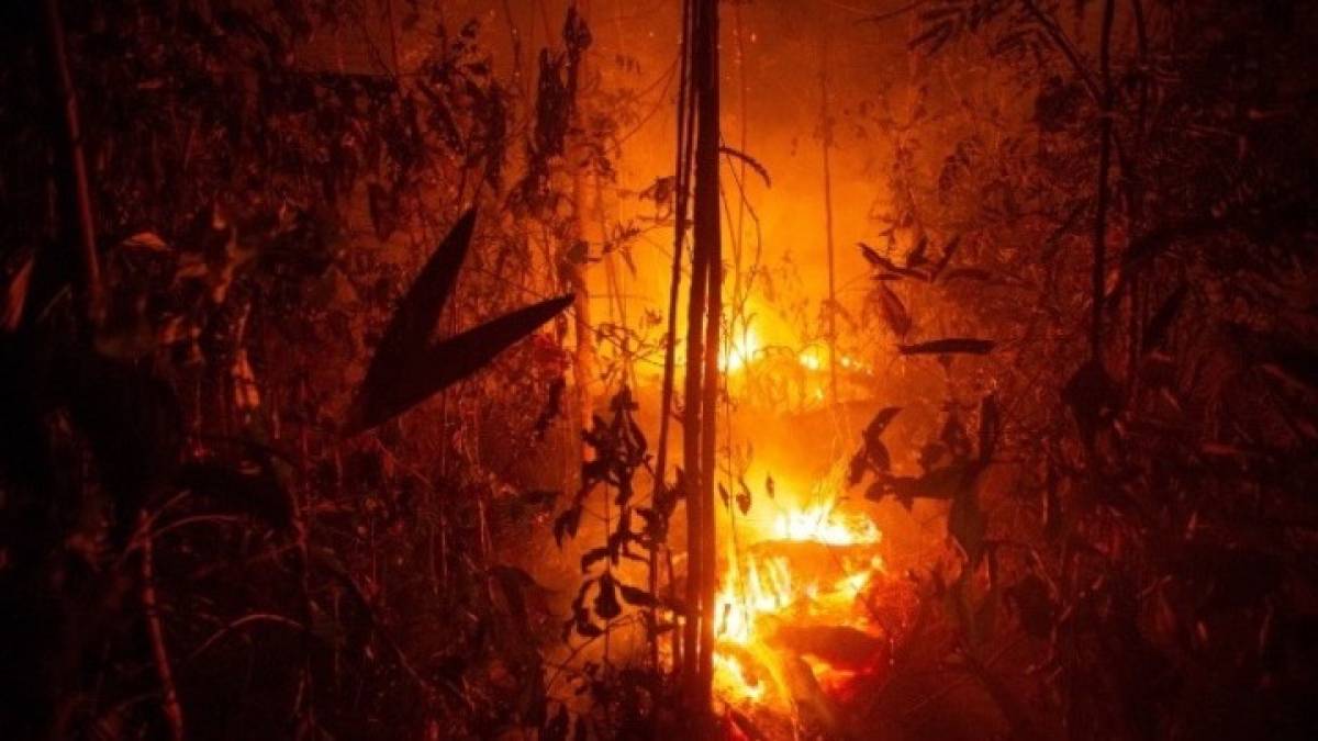 Στις φλόγες ξανά ο Αμαζόνιος: Καίγονται δάση, απειλούνται σπίτια - «Είναι ψέματα» λέει ο Μπολσονάρου