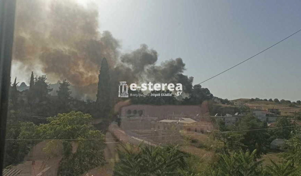 Φωτιά τώρα στη Θήβα - Καίει κοντά σε κατοικημένη περιοχή