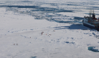 Καμπανάκι για την Αρκτική: «Ο πάγος θα λιώσει πιο γρήγορα από ό,τι προβλέπεται»