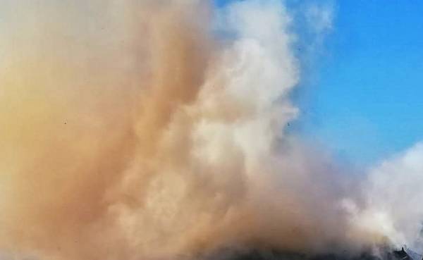 Πυρκαγιά στον Κιθαιρώνα: Ενισχύονται οι δυνάμεις της Πυροσβεστικής
