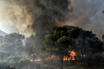 Φωτιά στα Δερβενοχώρια: Ήχησε το «112» - Εκτός ελέγχου το πύρινο μέτωπο στο πευκοδάσος του Κιθαιρώνα