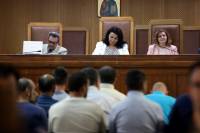 Δίκη Χρυσής Αυγής: Πολιτική χαρακτήρισε τη δίωξή της η Ελένη Ζαρούλια