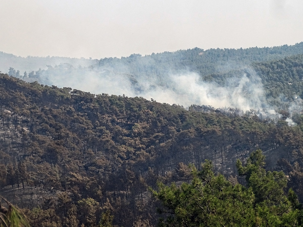 Καίει ακόμα η φωτιά στη Ρόδο - Συνεχής μάχη με τις αναζωπυρώσεις