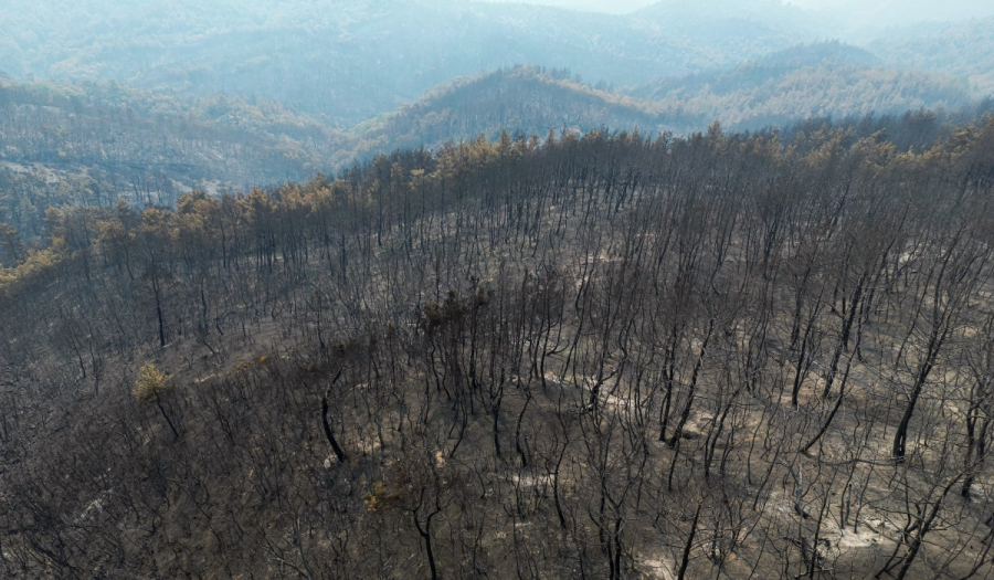 Φωτιές: Αποκαρδιωτικός ο απολογισμός - Κάηκε το 58% του δάσους της Δαδιάς στον Έβρο