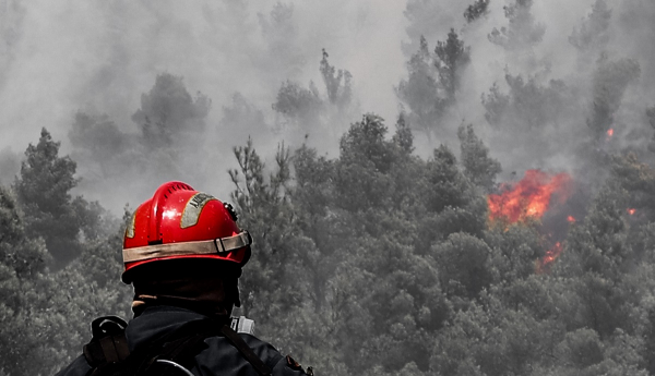 Φωτιά στα Βίλια: Ανεξέλεγκτες φλόγες, καίγονται σπίτια - Μήνυμα 112 για εκκένωση δύο περιοχών