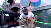 YouTuber έδεσε τον σκύλο του σε μπαλόνια με ήλιον «για να πετάξει»