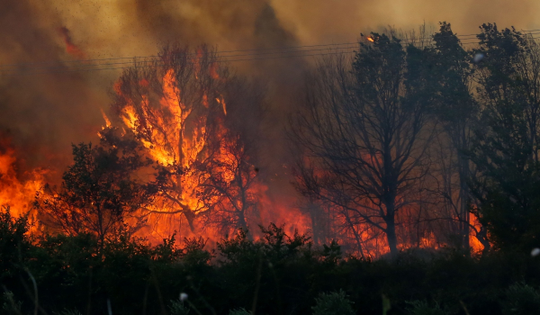 Φωτιά τώρα στην Αιτωλοακαρνανία - Σηκώθηκαν 3 εναέρια μέσα