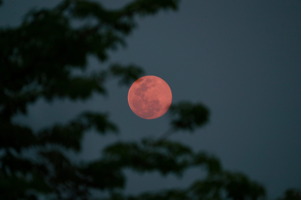 Πανσέληνος Απριλίου 2023: Πότε θα δούμε το «Ροζ Πασχαλινό Φεγγάρι»
