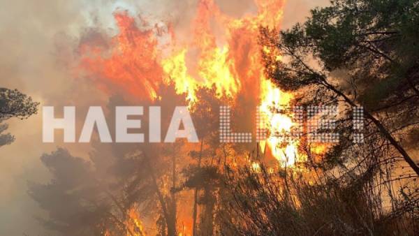 Ανεξέλεγκτη η φωτιά στο προστατευόμενο δάσος της Στροφυλιάς