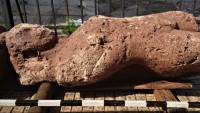 Αγρότης βρέθηκε μπροστά σε μια σπουδαία ανακάλυψη - Βρήκε το νεκροταφείο του αρχαίου Οπούντα