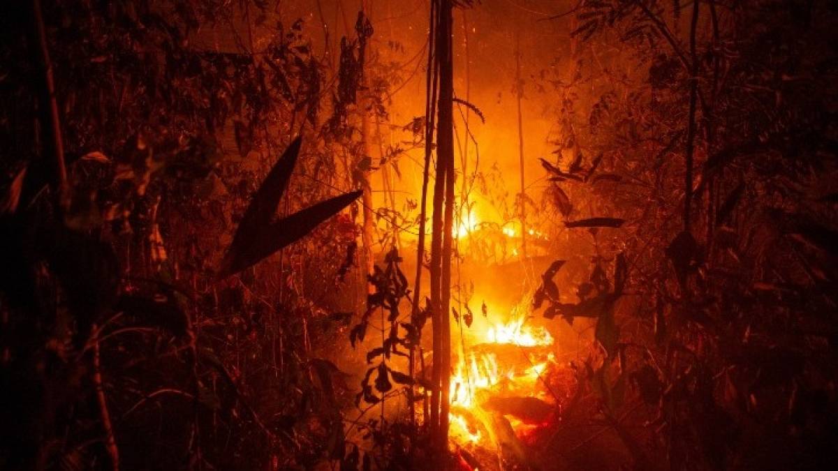 Βραζιλία: Ρεκόρ πυρκαγιών στο Παντανάλ - Φλέγεται και πάλι ο Αμαζόνιος