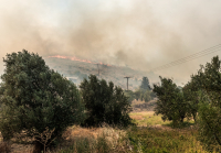 Φωτιά στην Εύβοια: Τραυματίστηκαν πυροσβέστες - Οι φλόγες τύλιξαν χωριό