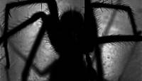 Μαύρη χήρα: Η αράχνη και τι επιπλοκές προκαλεί το τσίμπημα