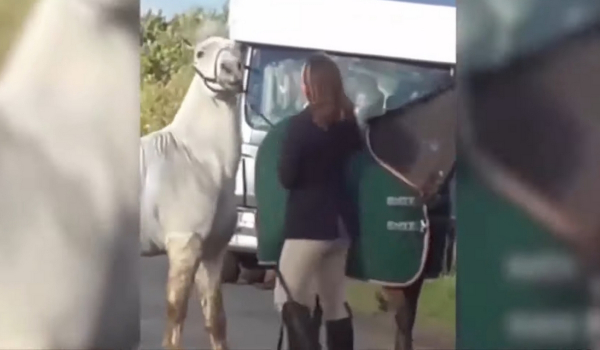 Βρετανία: Σάλος με βίντεο που δείχνει γυναίκα να κλωτσάει και να χαστουκίζει άλογο