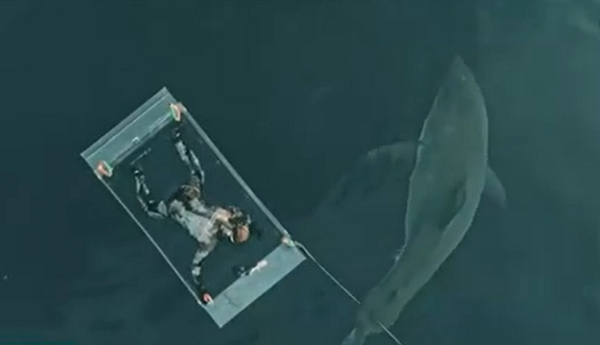 Λευκός καρχαρίας επιτέθηκε σε δύτη που ξέφυγε την τελευταία στιγμή (Βίντεο)