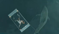 Λευκός καρχαρίας επιτέθηκε σε δύτη που ξέφυγε την τελευταία στιγμή (Βίντεο)