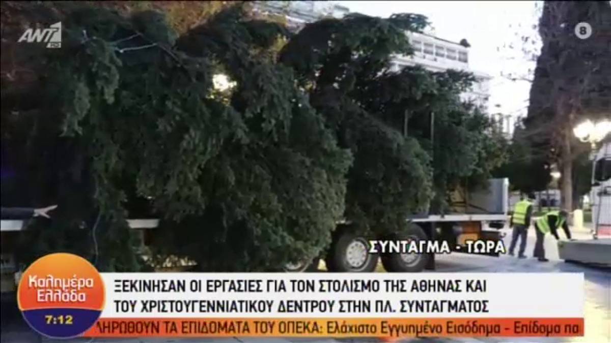 Το χριστουγεννιάτικο δέντρο της Αθήνας έφτασε από Καρπενήσι και στήνεται στο Σύνταγμα