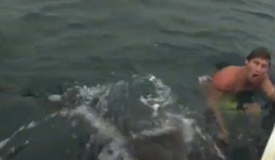 Καρχαρίας πέφτει πάνω σε άνδρα που αρχίζει να ουρλιάζει - Τρομακτικό βίντεο