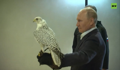 Και πουλιά στον αέρα πιάνει ο Πούτιν (Βίντεο)