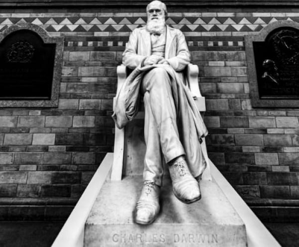 Μυστήριο στο Κέιμπριτζ: Επέστρεψαν εξαφανισμένα σημειωματάρια του Δαρβίνου σε… σακούλα δώρου