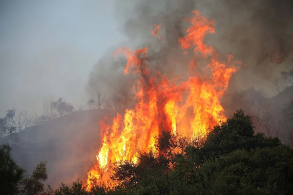 Φωτιά τώρα στην Κεφαλονιά - Κοντά στα Σβορωνάτα η πυρκαγιά