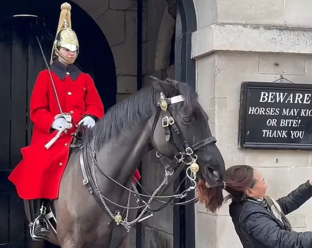 Βρετανία: Άλογο της βασιλικής φρουράς δάγκωσε την κοτσίδα τουρίστριας (βίντεο)