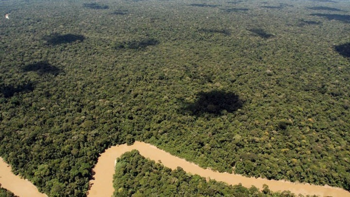 Ισημερινός: Διαρροή αγωγού πετρελαίου μολύνει ποταμό στο τροπικό δάσος του Αμαζονίου