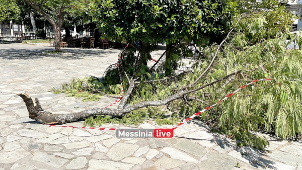 Καλαμάτα: Ανεμοστρόβιλος ξήλωσε δέντρα και κολόνα σε πλατεία (βίντεο)
