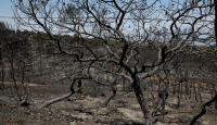 Κύπρος: Κάηκαν 46.000 στρέμματα - Εικόνα από δορυφόρο
