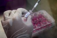 ΠΟΥ: Ο εθνικισμός των εμβολίων θα παρατείνει την πανδημία