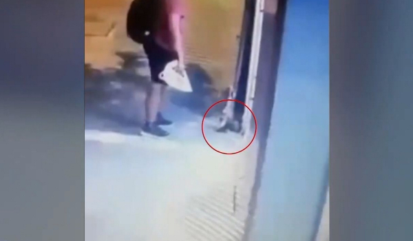 Θεσσαλονίκη: «Δεν ποδοπάτησα εγώ το γατάκι» λέει ο κατηγορούμενος για τον θάνατο του ζώου (Βίντεο)