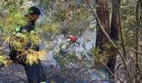 Δάσος της Δαδιάς: Καίγεται για 6 μέρα - Πλέον είναι «αυτοκαθοδηγούμενη», ανάλυση FLAME/Meteo.gr