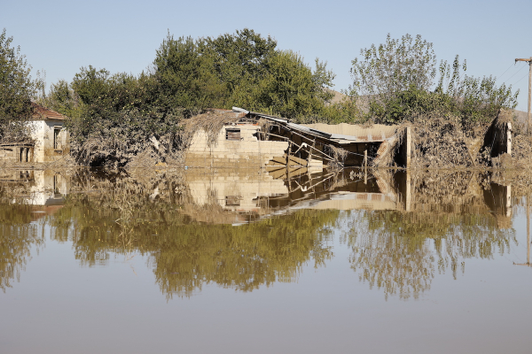 Θεσσαλία: Υγειονομική «βόμβα» τα νερά και τα νεκρά ζώα – Κίνδυνος και για μούχλα