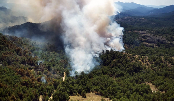 Φωτιά στο Δάσος της Δαδιάς: Στις φλόγες για 7η ημέρα - Μάχη στο νοτιοδυτικό μέτωπο